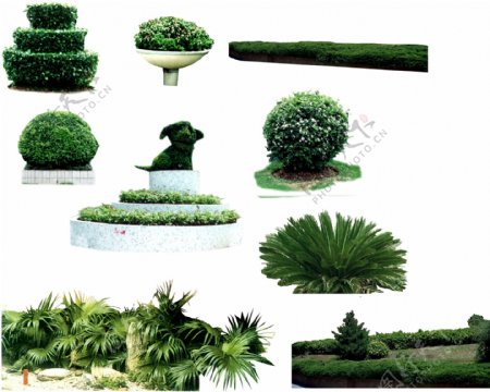 植物贴图素材建筑装饰JPG0227