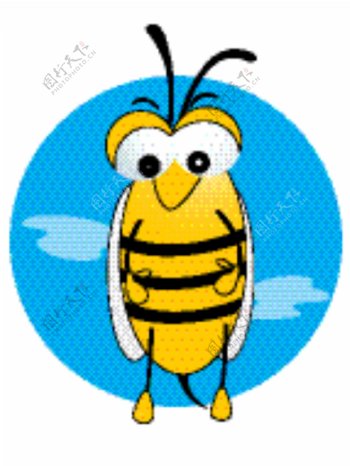 矢量插画的蜜蜂
