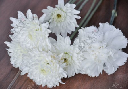 白色的花的照片sta