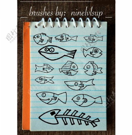 手绘海鱼和鱼骨头PS笔刷