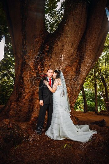 大树旁边拍婚纱照的夫妻