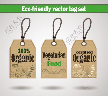 绿色生态纸板标签矢量素材下载