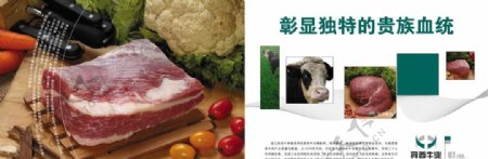 宾西牛业企业宣传册0910