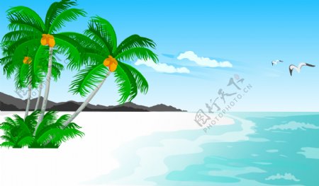 夏季沙滩椰树海背景