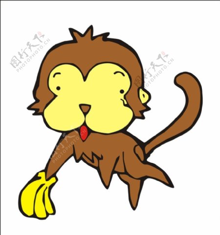 monkey猴子