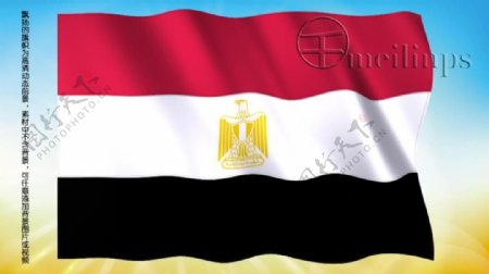 动态前景旗帜飘扬056埃及国旗