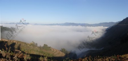 自然雾景摄影