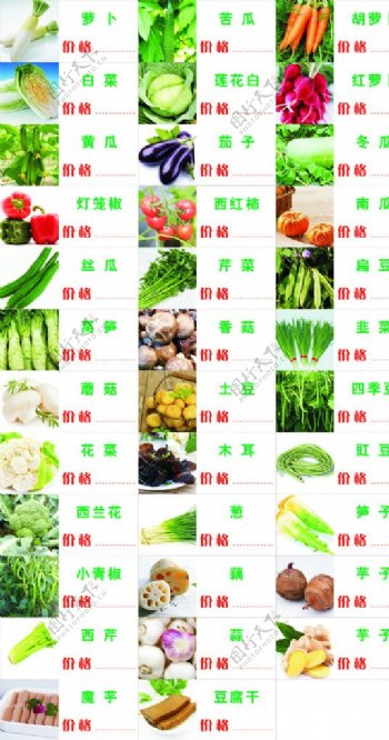 绿色各类蔬菜价格牌