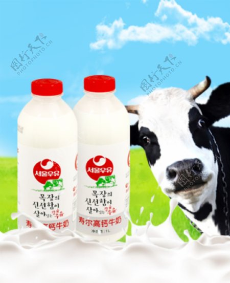 牛奶主图