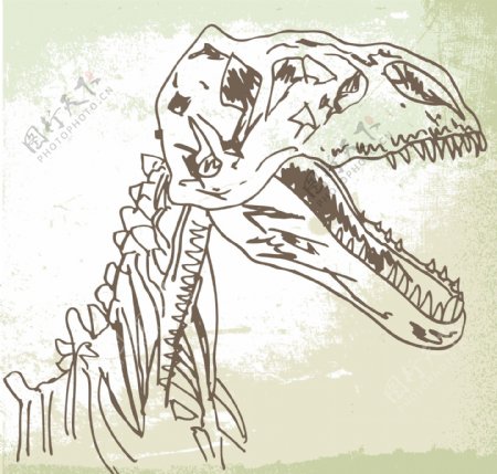 恐龙化石插画矢量图