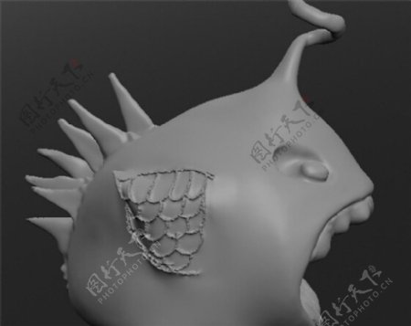 壳鱼3D打印模型
