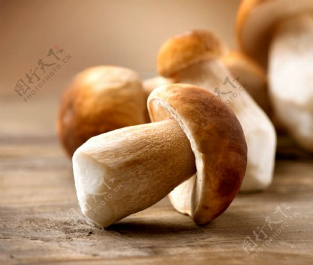 木板上的香菇图片