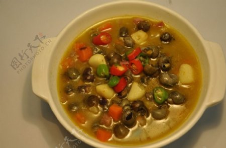 香螺土豆汤图片