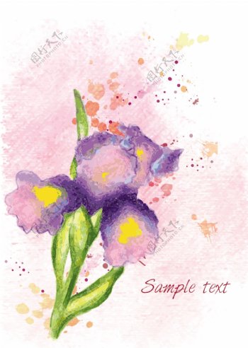 墨迹紫色花朵