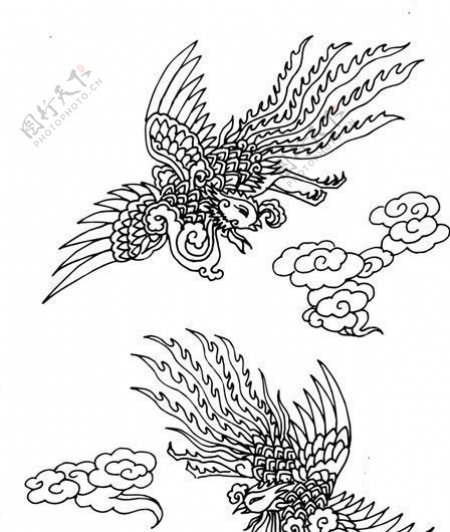 凤凰凤纹图案鸟类装饰图案矢量素材CDR格式0036