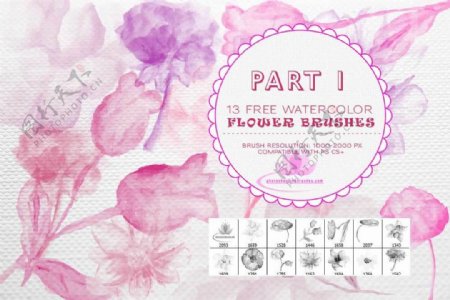 13种水彩水粉花卉鲜花绘画图形Photoshop笔刷.1