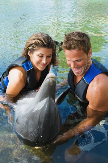 和海豚嬉戏的夫妻图片