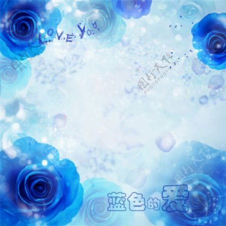 蓝色的爱玫瑰花装饰背景图