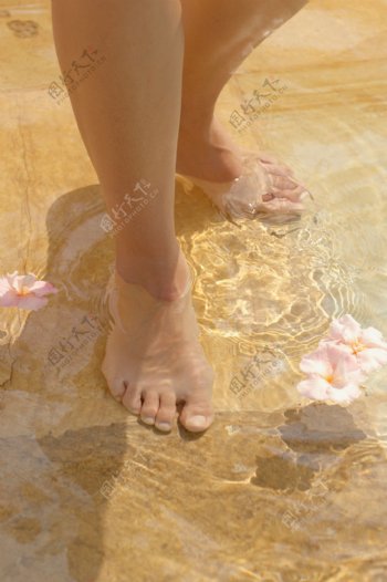 水池里的女人脚图片
