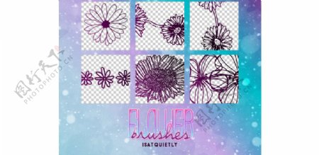 线描花朵和花卉PS笔刷