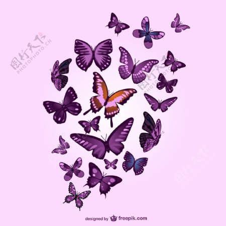 紫色蝴蝶和粉红色的背景