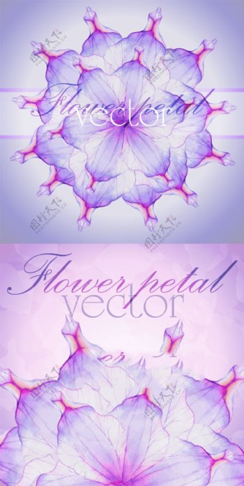 紫色梦幻花卉矢量背景图