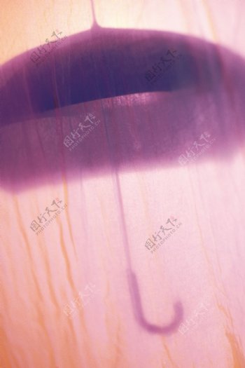 虚化紫色伞背景