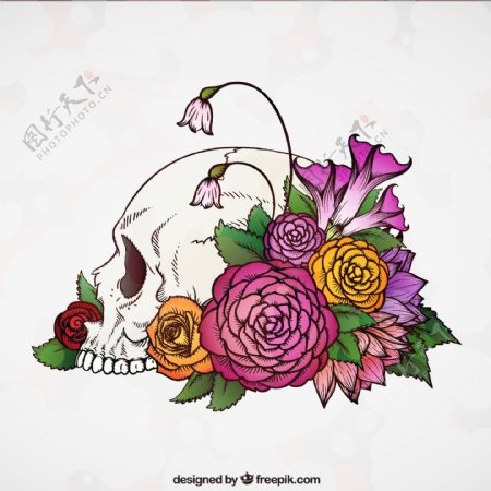 头骨背景与手绘五颜六色的花朵