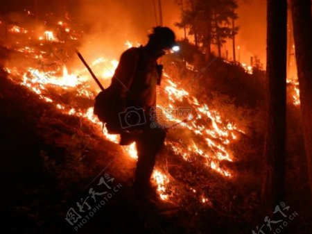 正在扑灭森林火灾的消防员