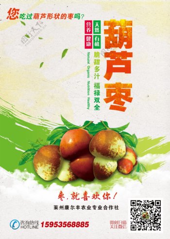 葫芦枣海报
