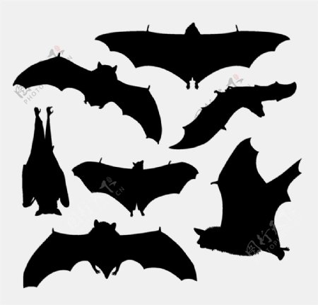 一群黑色蝙蝠图片