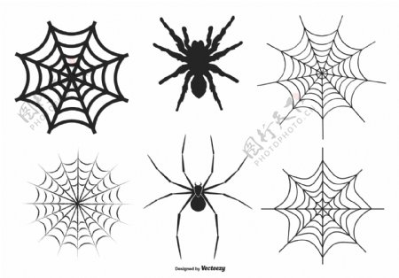 蜘蛛和网向量集