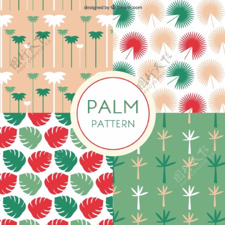 四种棕榈树叶装饰图案矢量素材