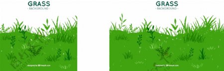 绿色背景的奇妙草背景