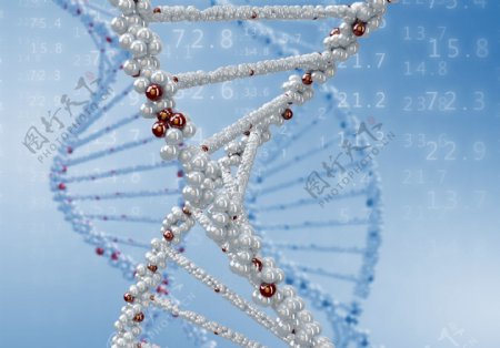 数字背景与DNA结构图片
