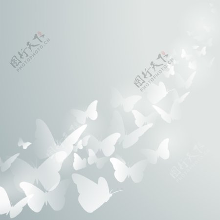 白色矢量蝴蝶元素背景
