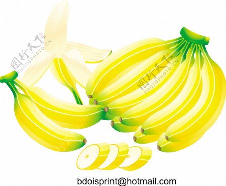 香蕉11