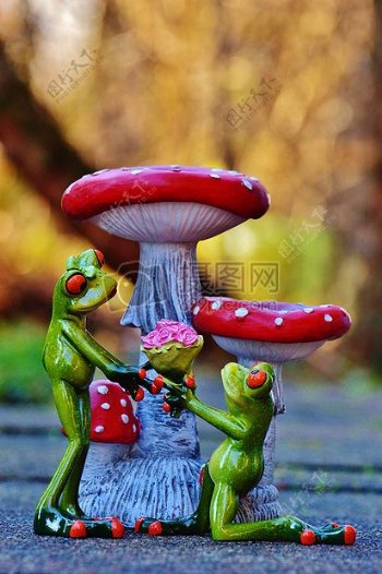 蘑菇旁求婚的青蛙