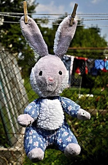 悬挂着的玩具兔子