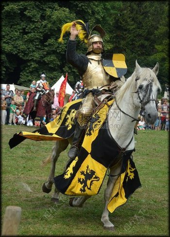 阿姆斯特丹的中世纪骑士比赛