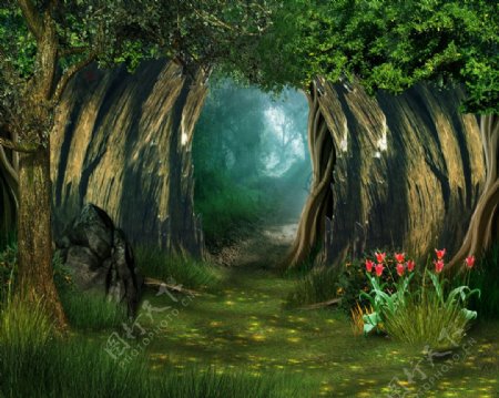 拱形树林仙境背景图图片