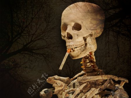 吸烟危害图片