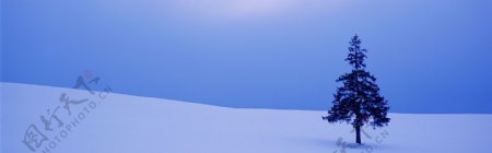 冬天雪景背景图片素材27