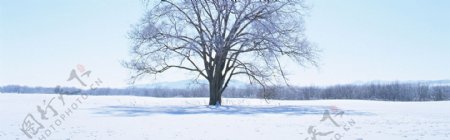 冬天里的风景背景素材33