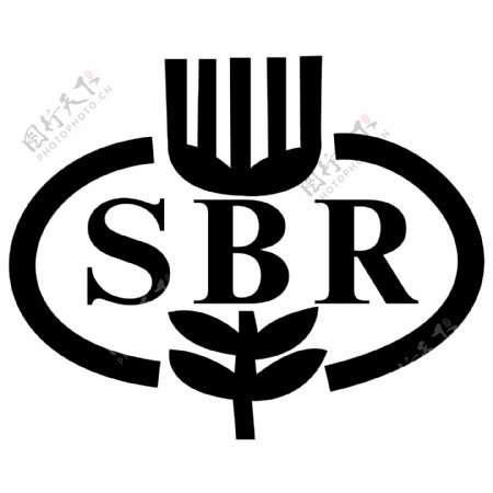 SBR银行