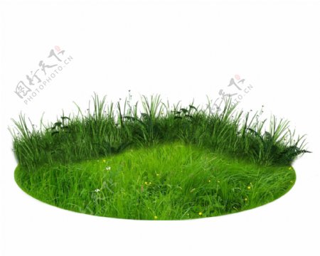 合成草地绿色植物