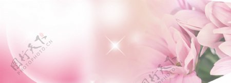 粉色花朵淘宝海报背景