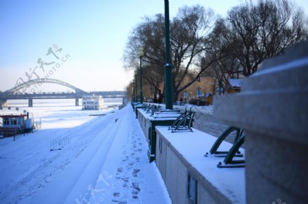 哈尔滨冬季街头图片