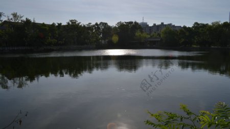 月湖夕照图片