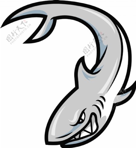 向量的鲨鱼的吉祥物